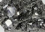 Sphalerite Crystal Cluster with Galena - Bulgaria #62245-2